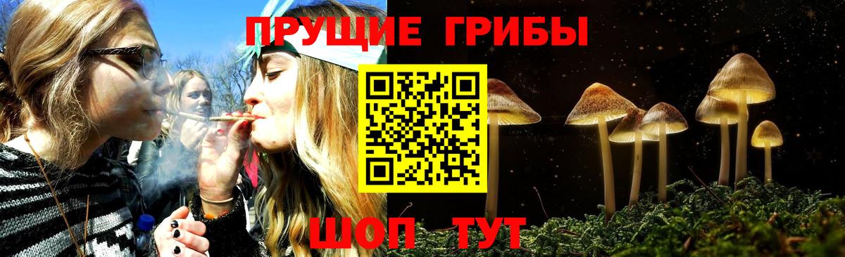 Псилоцибиновые грибы GOLDEN TEACHER  Вход с VPN  Ачинск 
